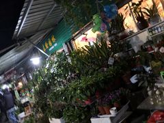 -曲阳花鸟市场(曲阳路店)