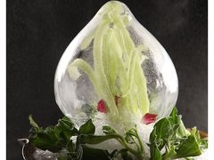 -九朝会昆曲·宴(望京店)