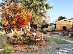 -HERRE·FARM 赫尔露营农场·团建聚会包场