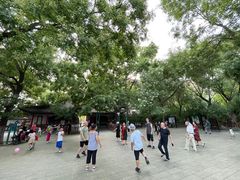 -文瀛公园