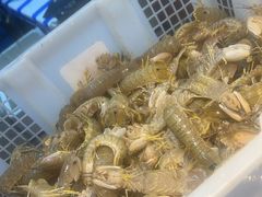-争先鲜·蒸汽海鲜自助·鲜切牛肉