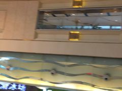 -海底捞火锅(龙岗星河COCO Park店)