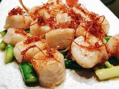 Xo酱炒澳洲玉带-粤界(望京金辉店)