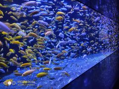 -成都浩海立方海洋公园