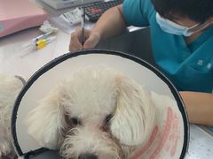 -荔康动物医院(康王北路店)