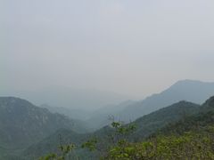 -大岭沟猕猴桃谷风景区