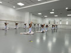 -西安小天鹅艺术团(金花路校区)