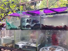 -张鸟园农家乐(张鸟园店)