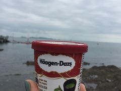 -哈根达斯(烟台振华店)
