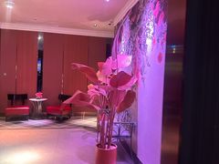 -纯K(打浦桥店)
