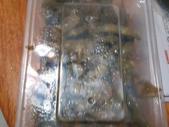 -一起吃小龙虾·海鲜(海珠店)
