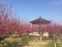 -南湖湿地公园
