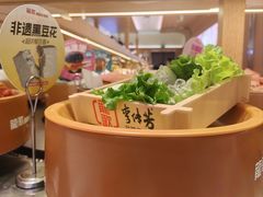 -龍歌自助小火锅(市南金茂湾店)