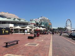 -Pancakes on the rocks(Darling Harbour)