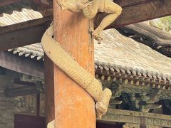 -晋祠博物馆