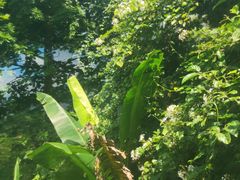 -七仙岭温泉国家森林公园