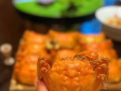 -常州武进九洲喜来登酒店