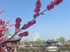 -无锡蠡湖国家湿地公园-蠡园