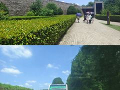 -秦始皇帝陵博物院-丽山园