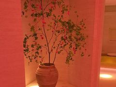 -舒小悦·舒养SPA·古法推拿(光环中心店)
