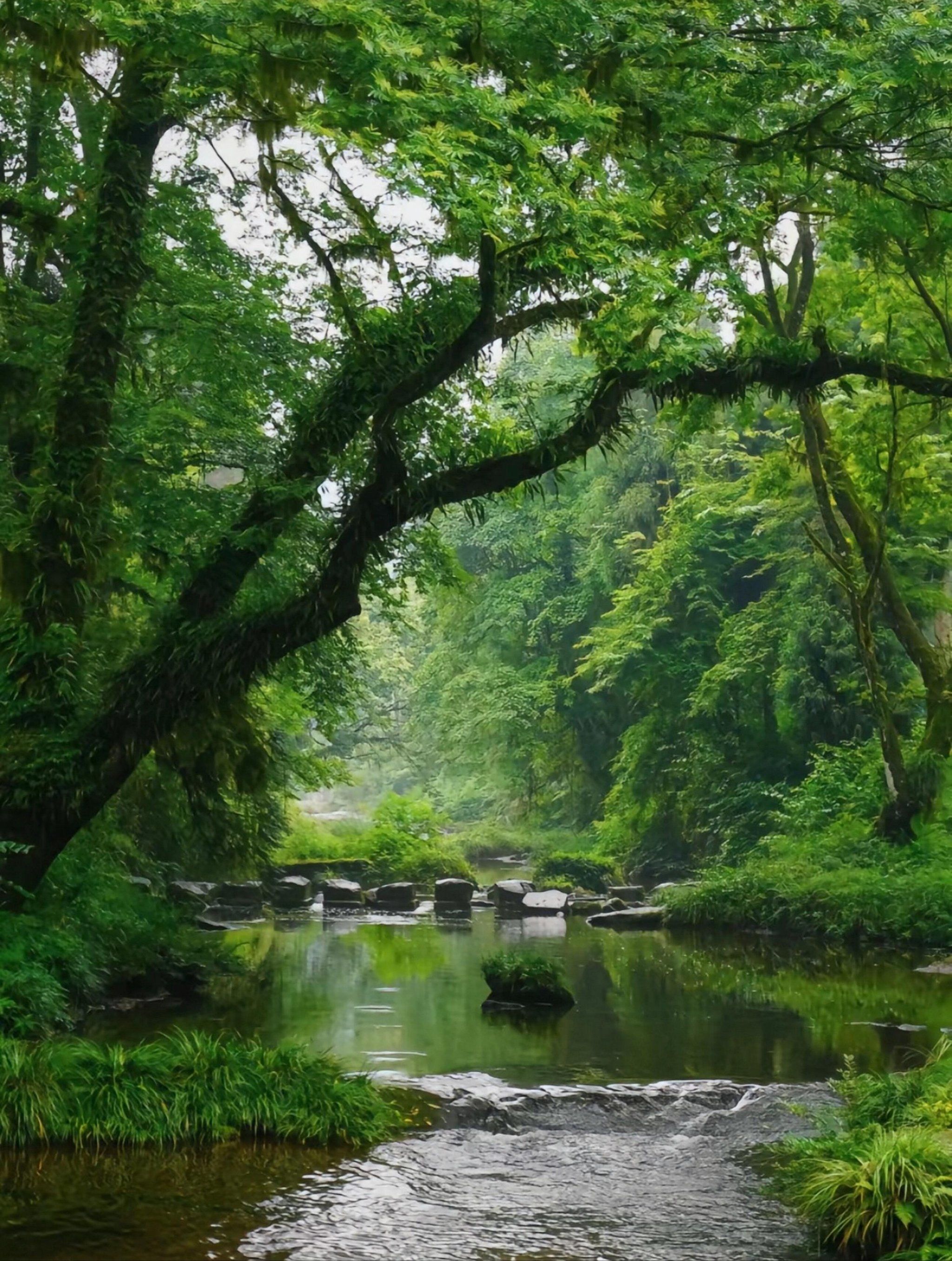 成都天台山天气预报今日情况
