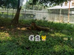-东莞香市动物园