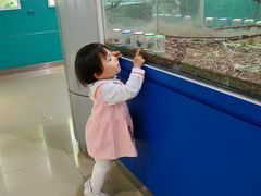 -上海昆虫博物馆