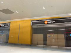 -Wagas沃歌斯(浦东机场店)