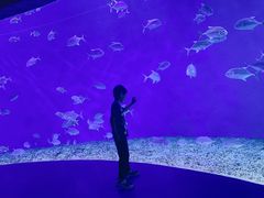 -波塞冬旅游度假区