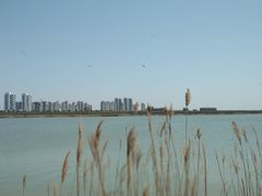 -天津东丽湖风景区