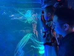 -合肥海洋世界