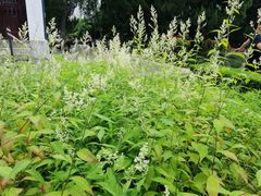 -南通博物苑-崇川人民公园