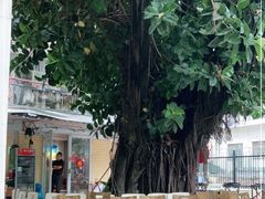 -牛杂大叔(园岭总店)