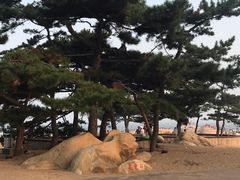 -老虎石海上公园