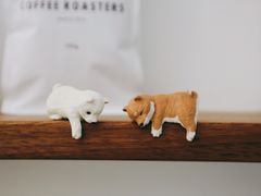 -Onirii Coffee(长乐路店)