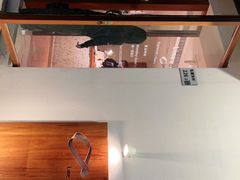 -Line 咖啡(石厦花园店)