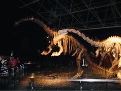 -世界恐龙谷景区