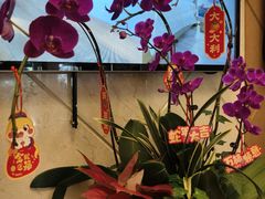 -深圳楚天大酒店(福田口岸深圳会展中心店)