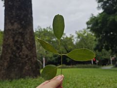 -人民公园(罗湖区)