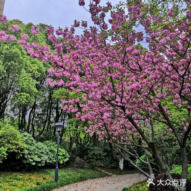 仙蠡墩
