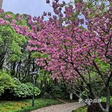 仙蠡墩