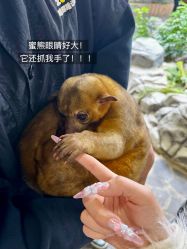 -Zoolung Zoolung动物主题公园(海信广场店)