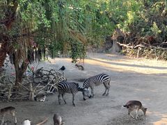 -长鹿旅游休博园
