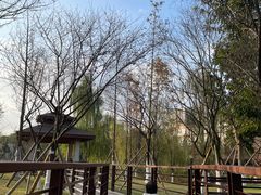 -沐仙湖湿地公园