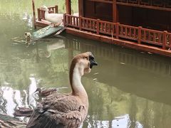 -北京积水潭医院(新街口院区)