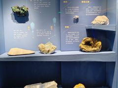 -山东博物馆