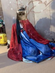 -汉仪华裳汉服馆(打浦桥店)