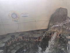 -兴芮温泉度假区