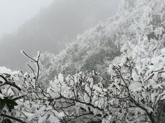 -金子山原生态旅游风景区