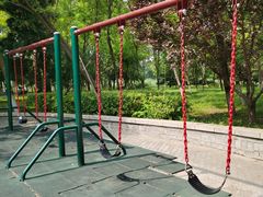 -大兴滨河森林公园